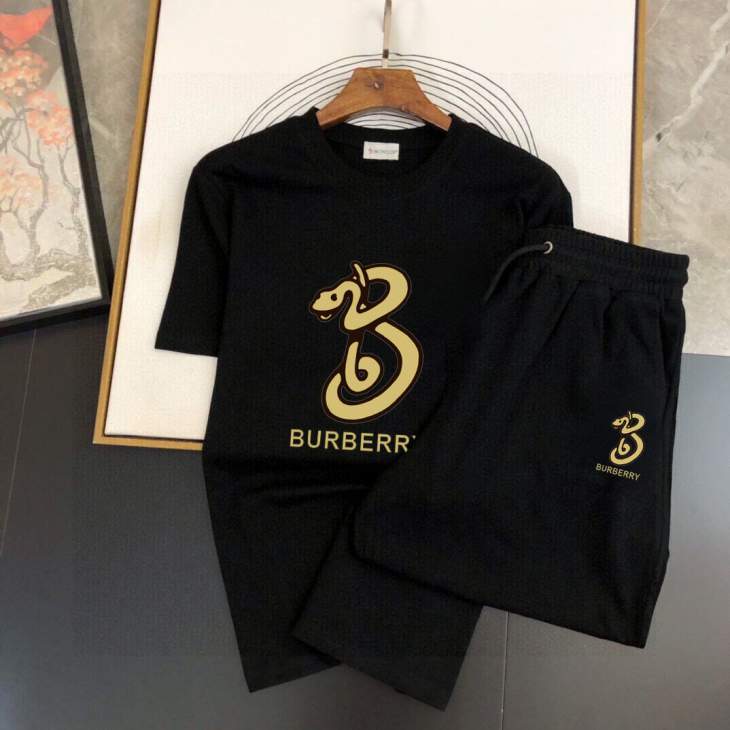 Picture of Burberry Shirt Pant Suits _SKUBurberryM-5XL13xr25720630